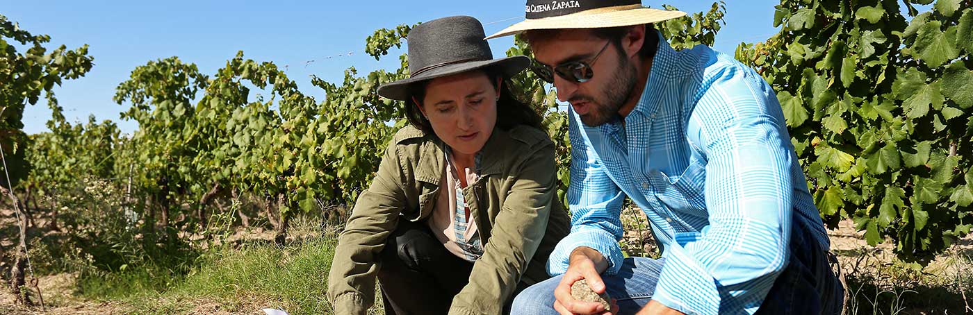 soils